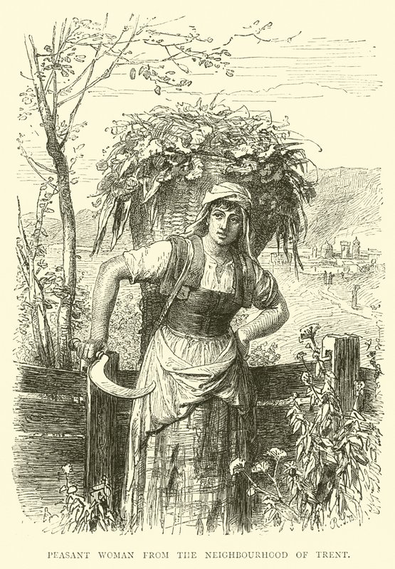 Peasant woman from the neighbourhood of Trent by English School