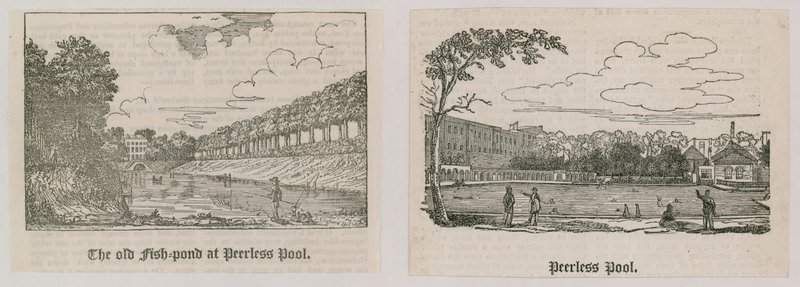Peerless Pool by English School