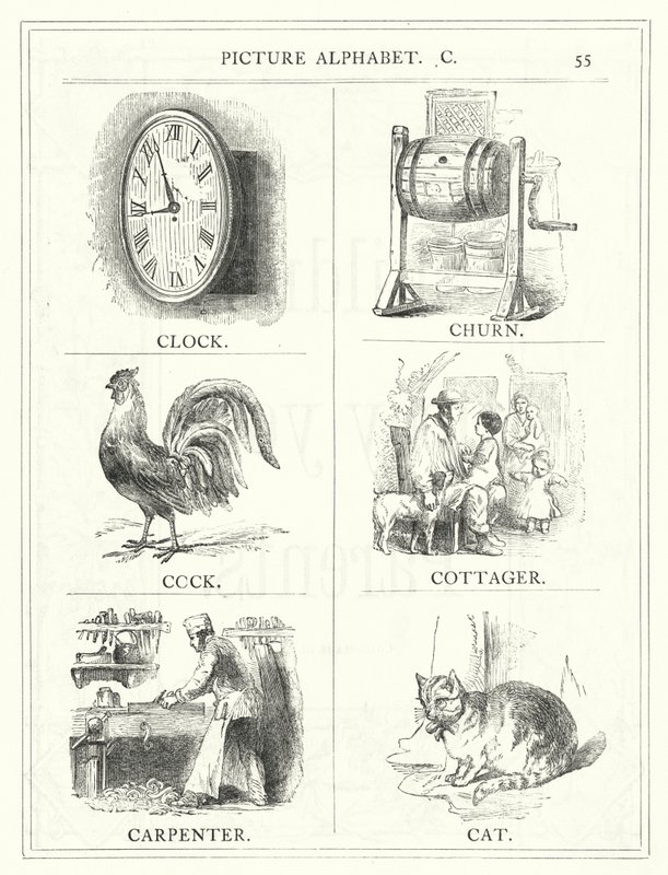 Picture Alphabet, C by English School