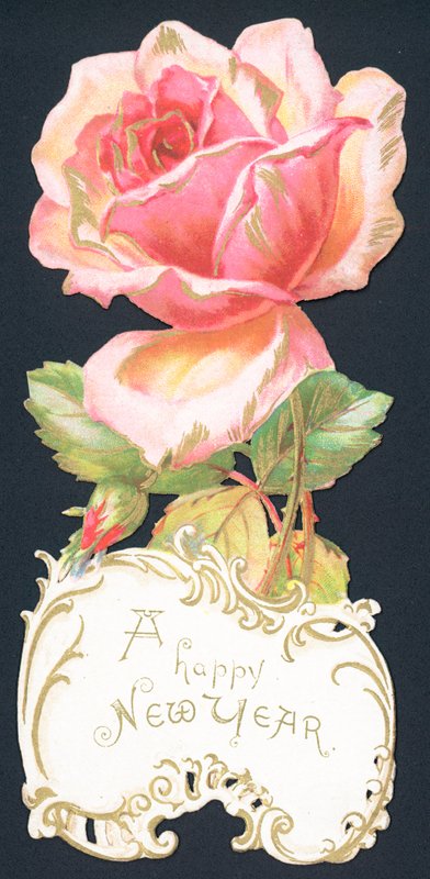 Pink Rose, New Year Card by English School