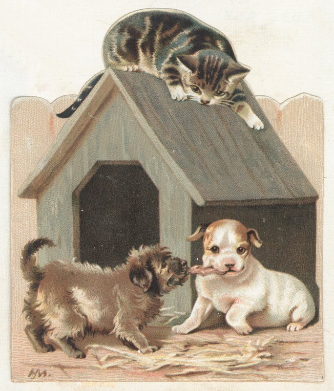 Playful Puppies and Kitten by English School