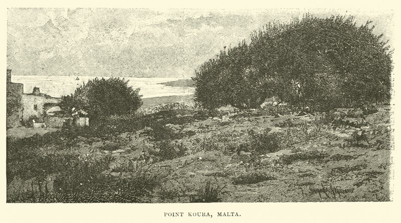 Point Koura, Malta by English School