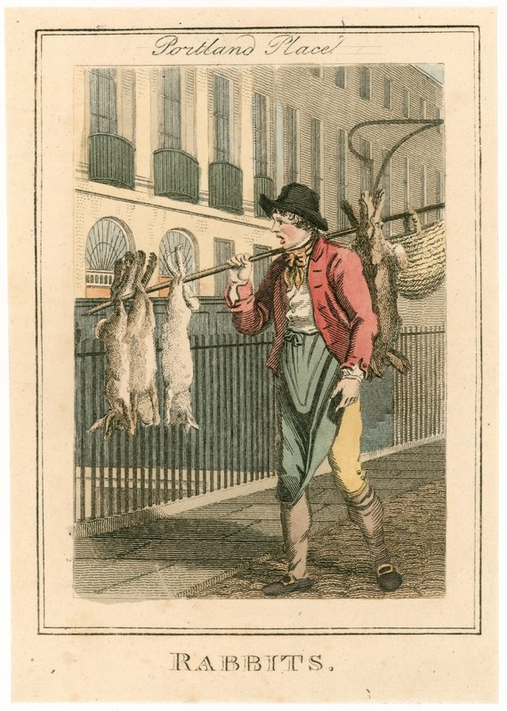 Portland Place. Rabbits by English School
