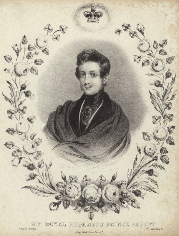Portrait of Albert, the Prince Consort by English School