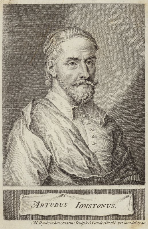 Portrait of Arthur Johnston by English School