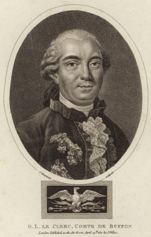 Portrait of Georges-Louis Leclerc, Comte de Buffon by English School