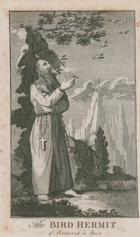 Portrait of the Bird Hermit of Montserrat by English School