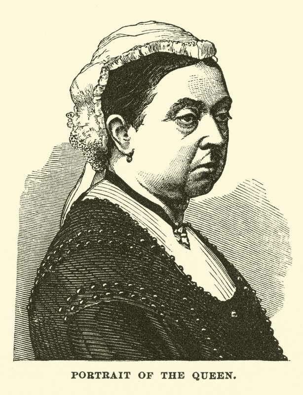Portrait of the Queen by English School