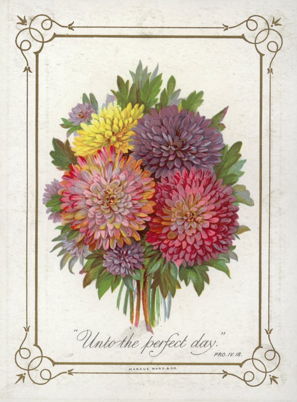 Posy of Flowers by English School