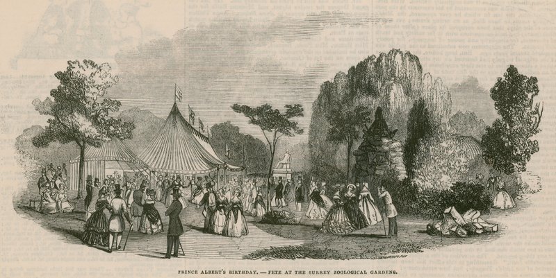 Prince Albert