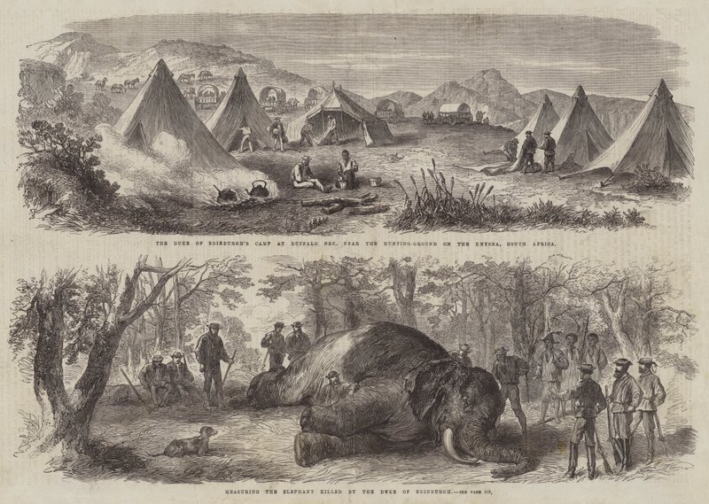 Prince Arthur in South Africa by English School