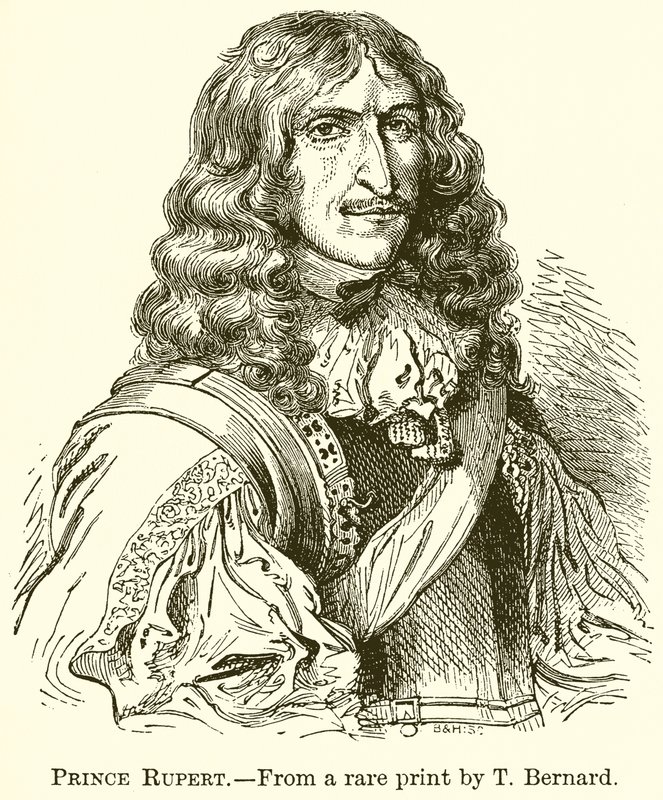 Prince Rupert by English School