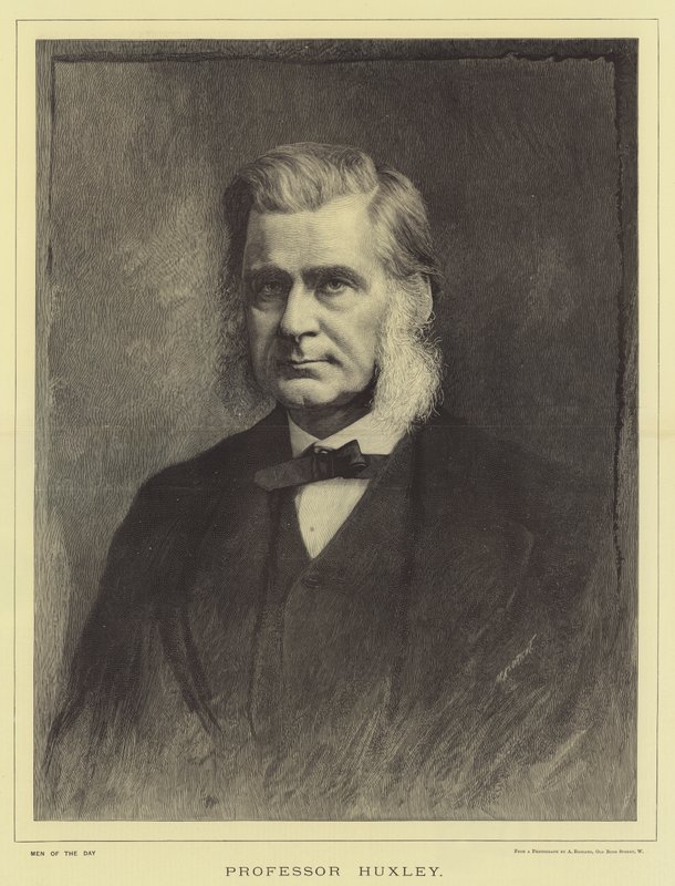 Professor Huxley by English School
