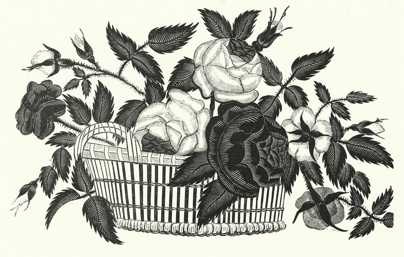 Psaligraphy, or Scissor-drawing by English School