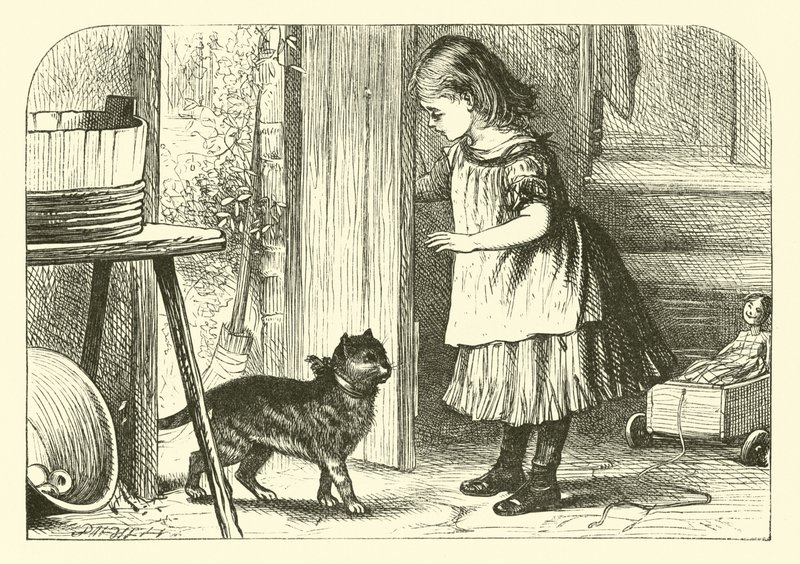 Pussy-Cat, Pussy-Cat by English School