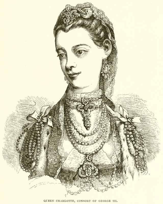 Queen Charlotte, Consort of George III by English School