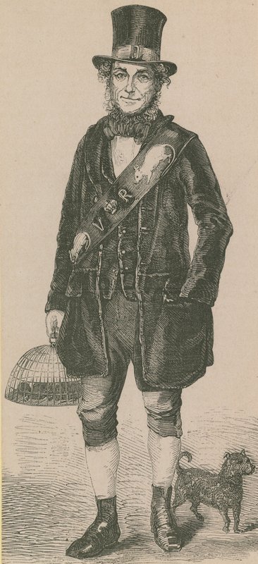 Rat Catcher by English School