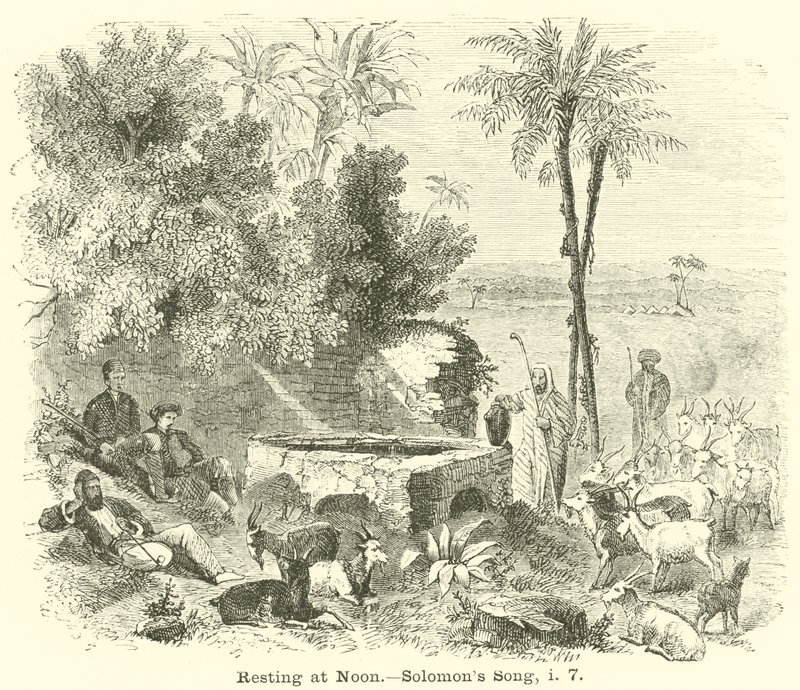 Resting at Noon by English School