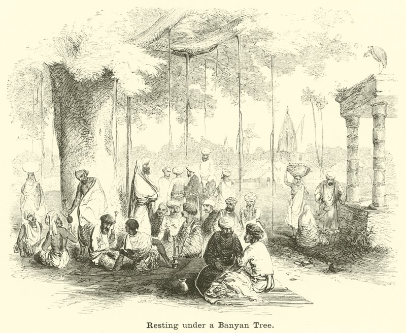 Resting Under a Banyan Tree by English School