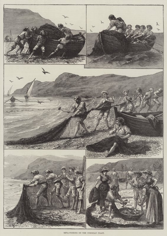 Reta-Fishing on the Corsican Coast by English School