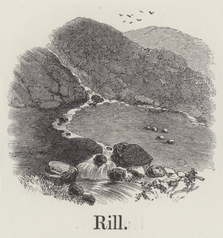 Rill by English School