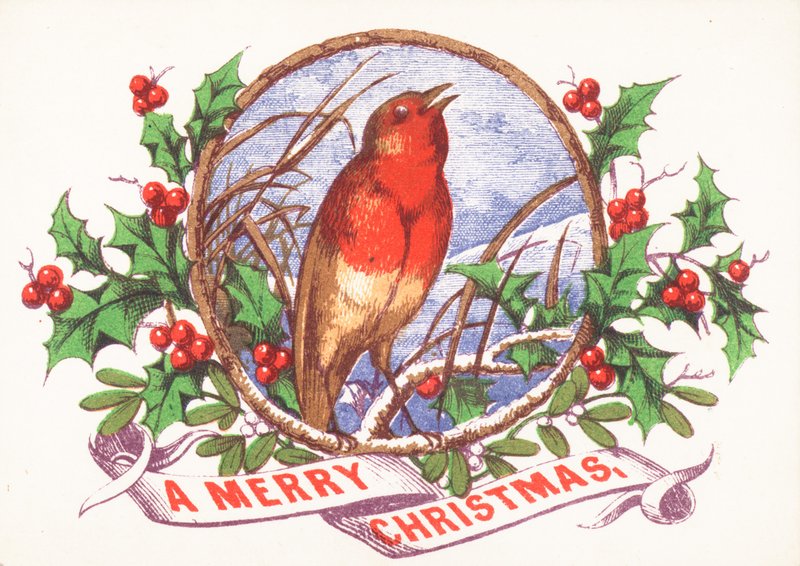 Robin singing on branch by English School