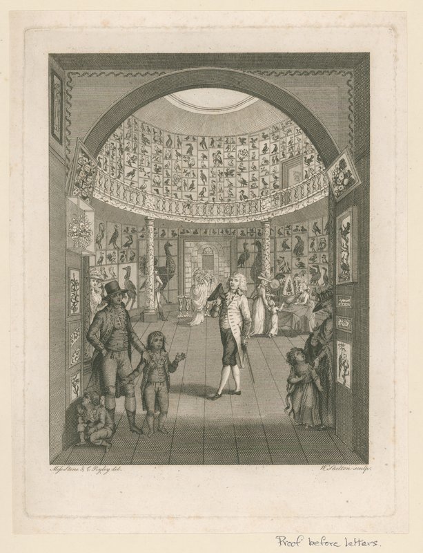 Rotunda at the Leverian Museum by English School