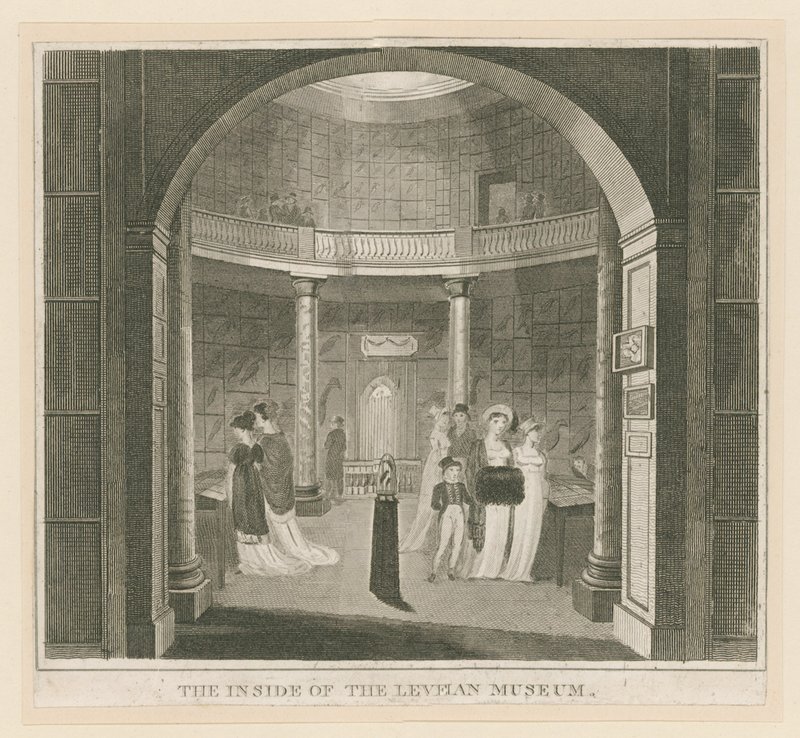Rotunda at the Leverian Museum by English School