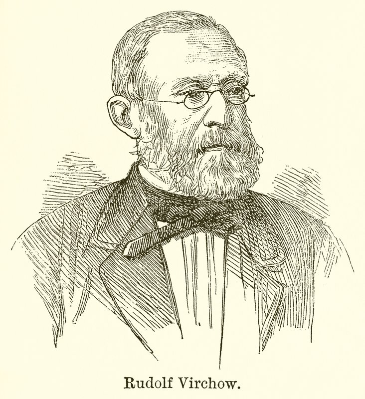 Rudolf Virchow by English School