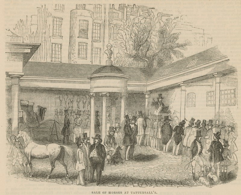 Sale of Horses at Tattersalls by English School