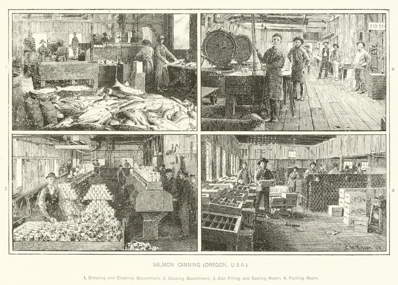 Salmon Canning, Oregon, USA by English School