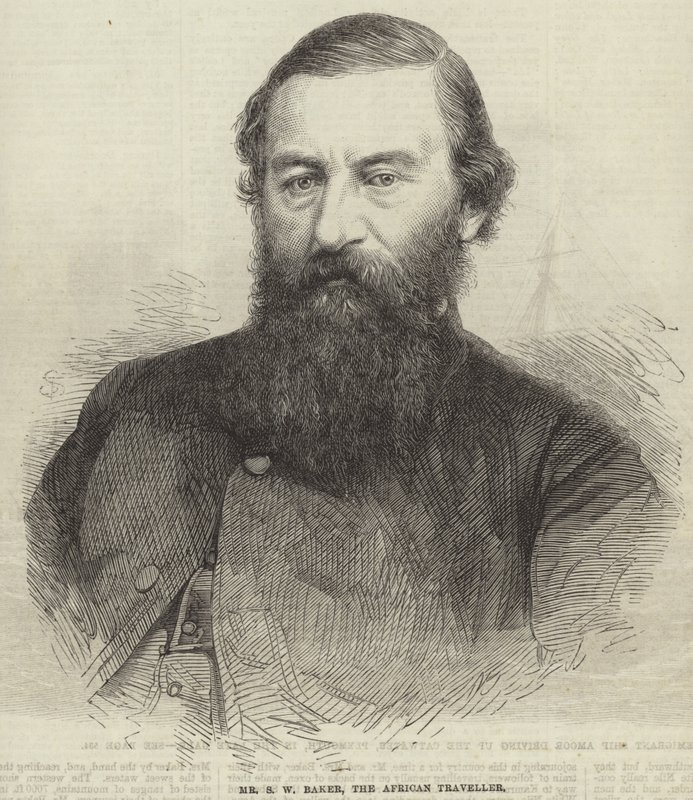 Samuel White Baker by English School
