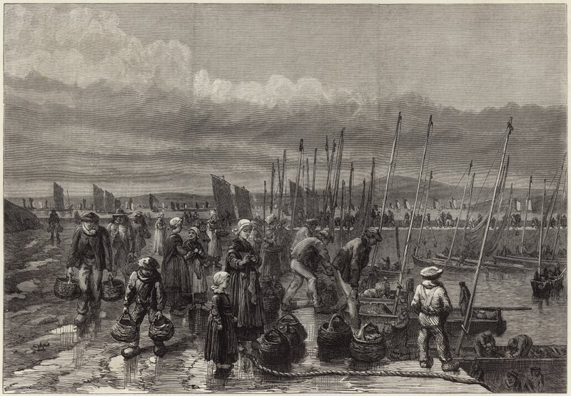 Sardine Fishery on the Coast of Brittany by English School