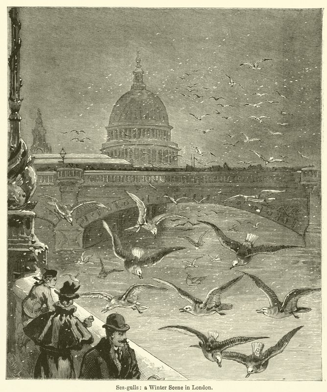 Sea-gulls, a Winter Scene in London by English School