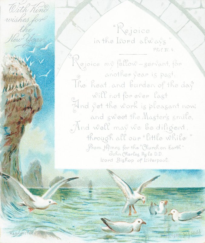 Seagulls by the ocean by English School