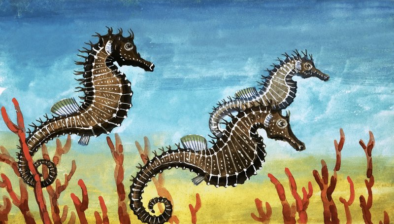 Seahorses by English School