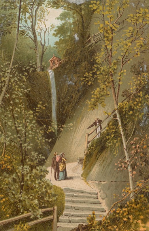 Shanklin Chine--Isle of Wight by English School