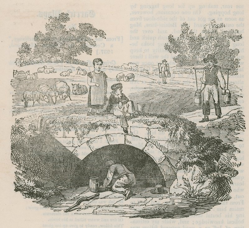 Shepherd