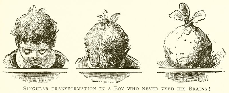 Singular Transformation in a Boy Who Never Used His Brains! by English School