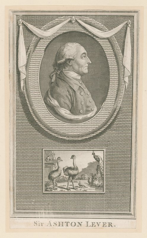 Sir Ashton Lever by English School