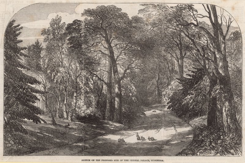 Sketch of the Proposed Site of the Crystal Palace, Sydenham by English School