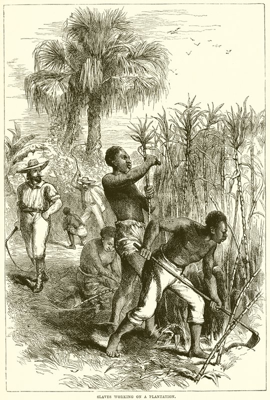 Slaves working on a plantation by English School