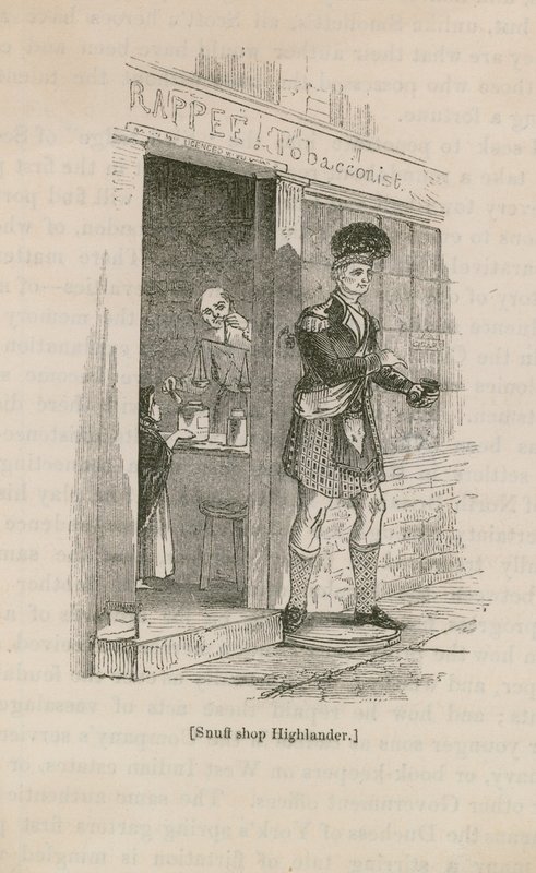 Snuff Shop Highlander by English School