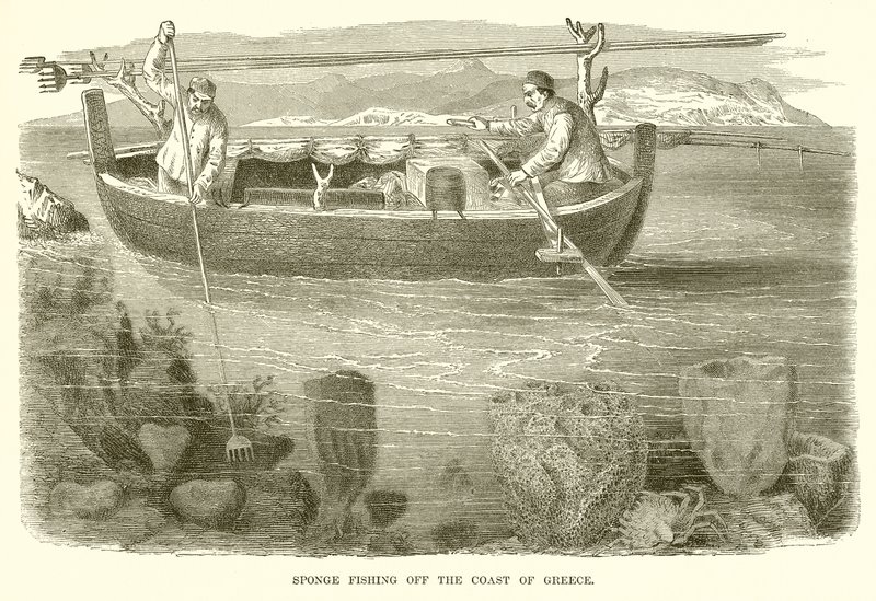 Sponge Fishing off the Coast of Greece by English School