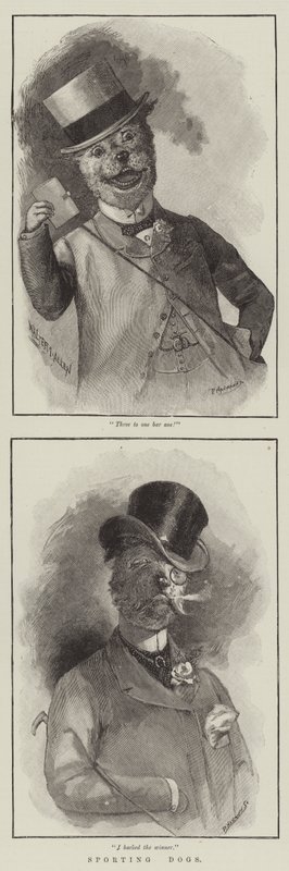 Sporting Dogs by English School