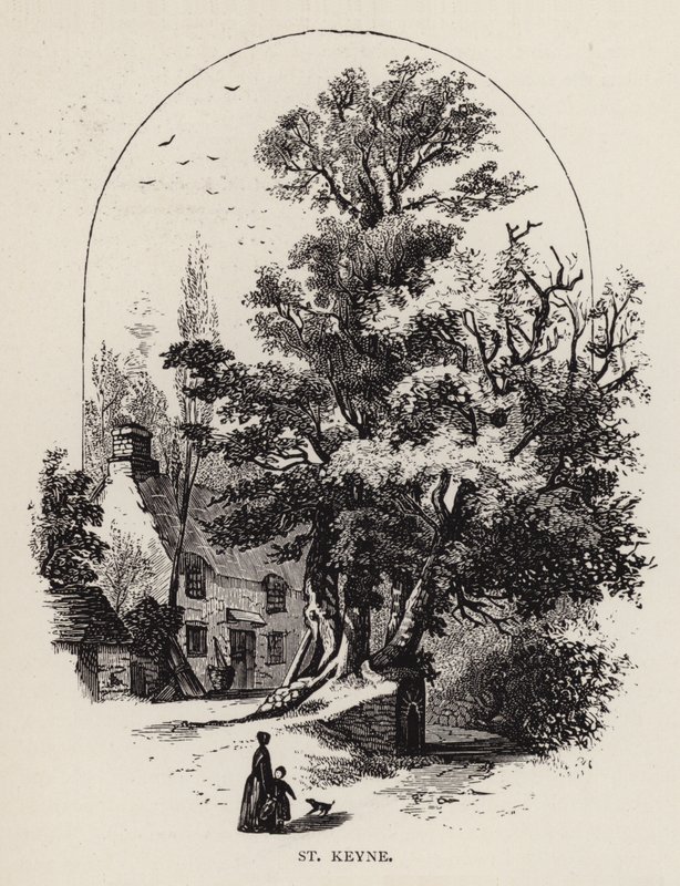 St Keyne (engraving) by English School
