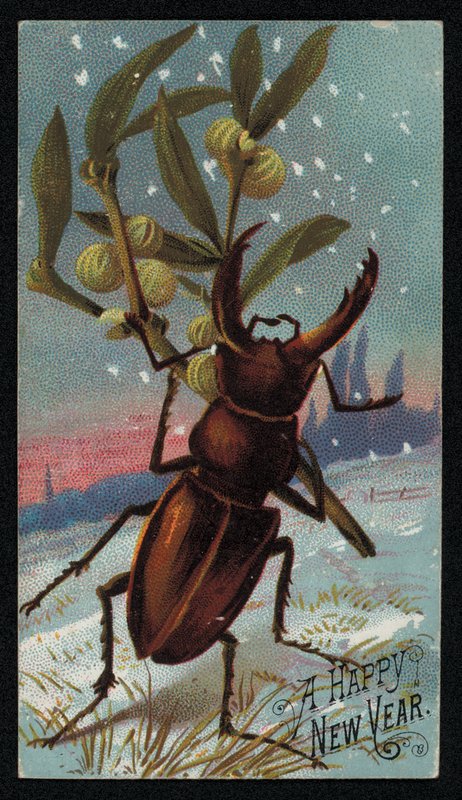 Stag Beetle Carrying Mistletoe in a Wintry Scene, Christmas Greetings Card by English School