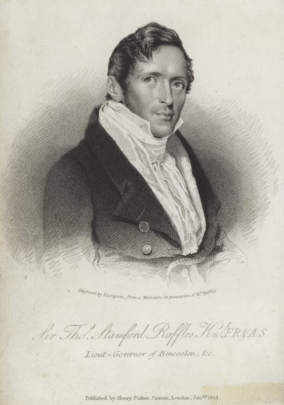 Stamford Raffles by English School