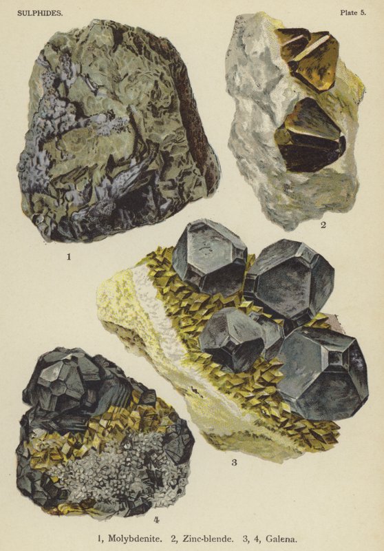 Sulphides, molybdenite, zinc-blende, galena by English School