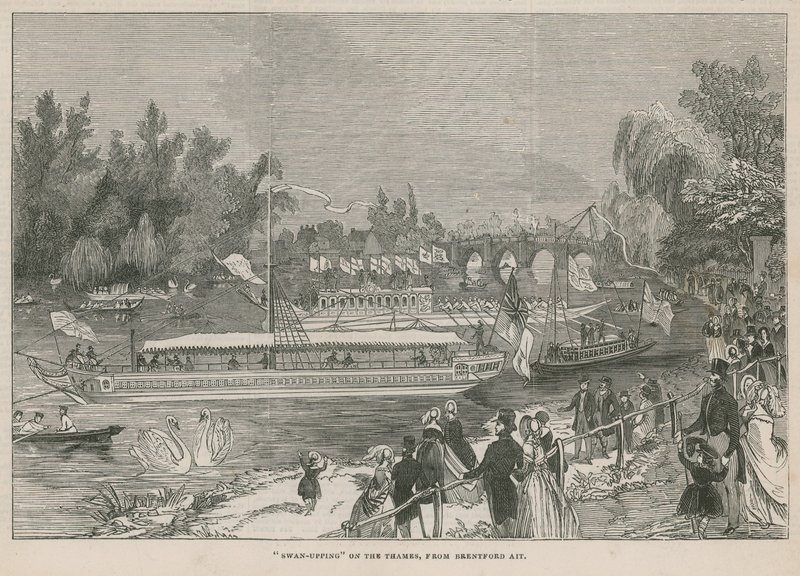 Swan-Upping on the Thames by English School
